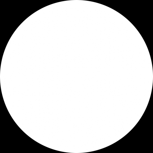 jinarizvi
